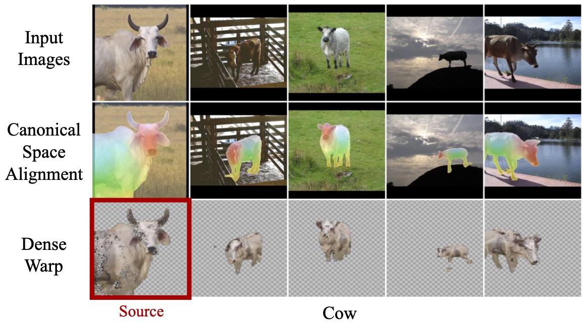 Dense alignment cow dataset.